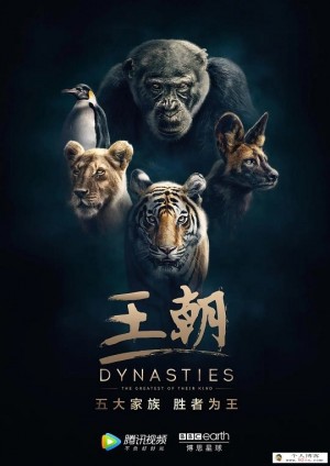BBC英文纪录片《王朝 Dynatie 2018》全5集下载 mp4高清1080p 英语中字 百度云网盘