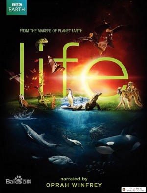 2009年BBC自然生物纪录片《生命 Life》全10集1080p超清下载 mp4国粤英3语中字 百度云网盘