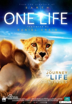 BBC英语纪录片《地球生灵 One Life》1080p超清下载 mp4中英字幕 百度云网盘