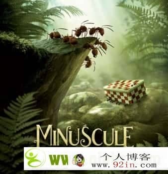 昆虫总动员 Minuscule: The Valley Of The Lost Ants 高清下载