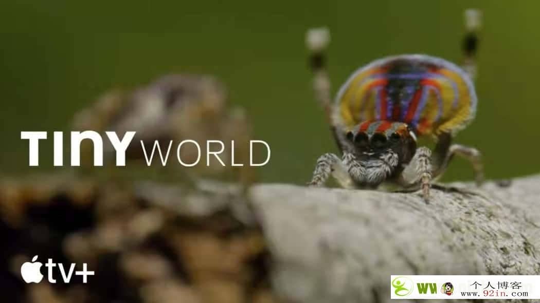 《小小世界》Tiny World 英文版动画2季全12集英语字幕百度网盘下载