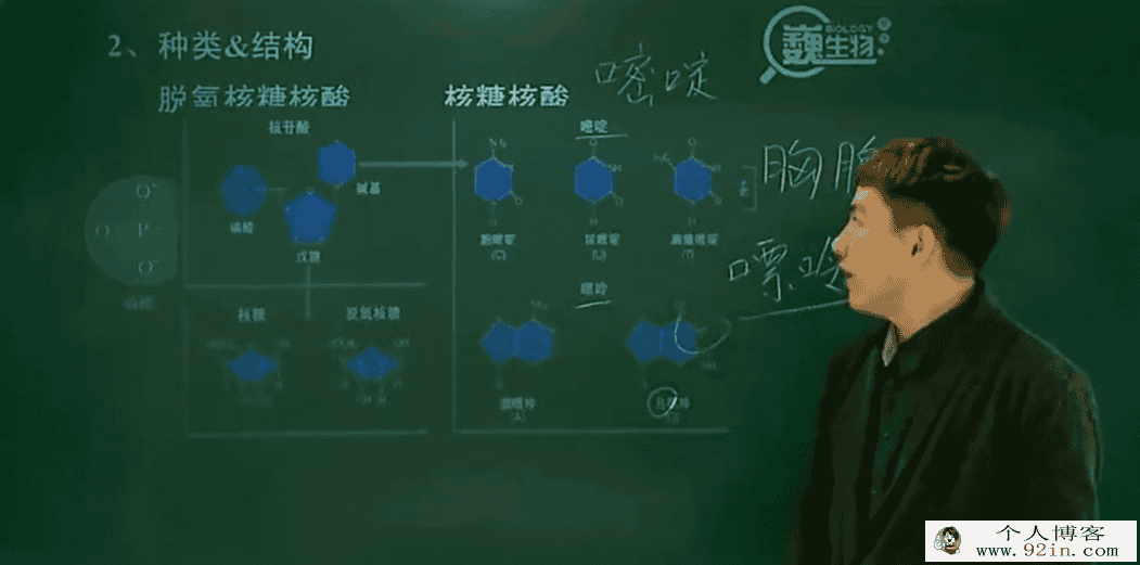高中必修一陆巍巍生物之糖、脂质、核酸-百度云下载