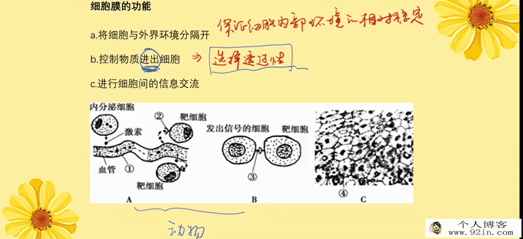 周芳煜高一生物细胞膜-系统的边界-百度云下载