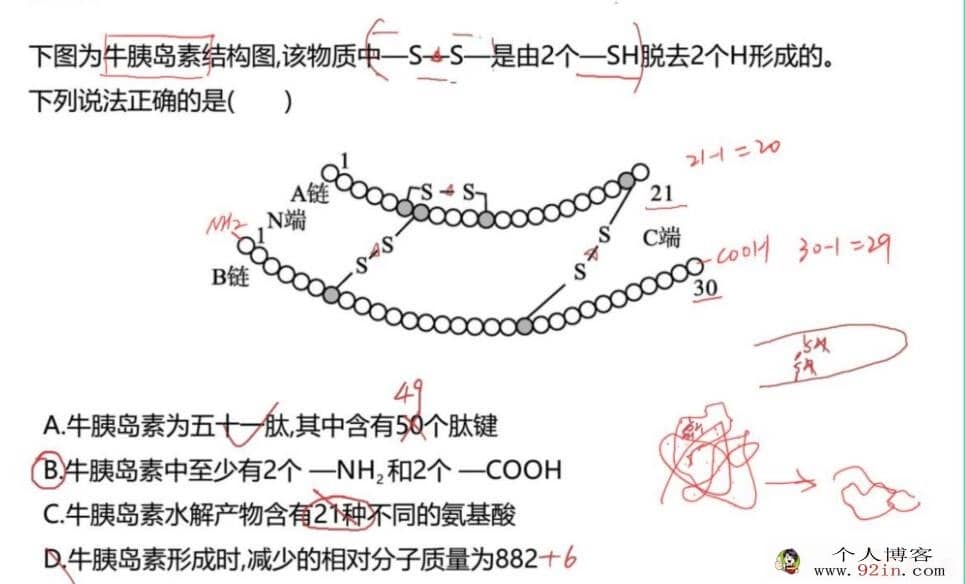 周云 2022秋 高一生物秋季尖端班更新31讲带讲义 百度网盘下载
