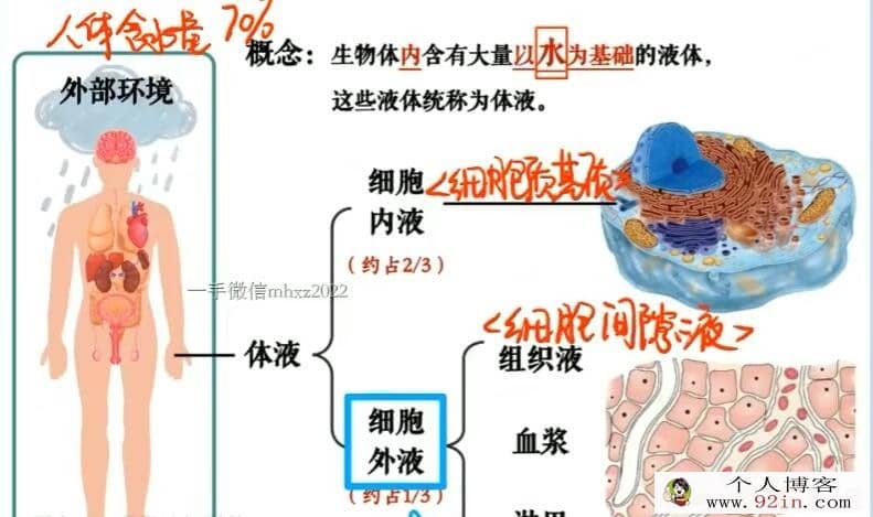 段瑞莹 2022暑 高二生物暑假系统班 9讲完结百度网盘分享