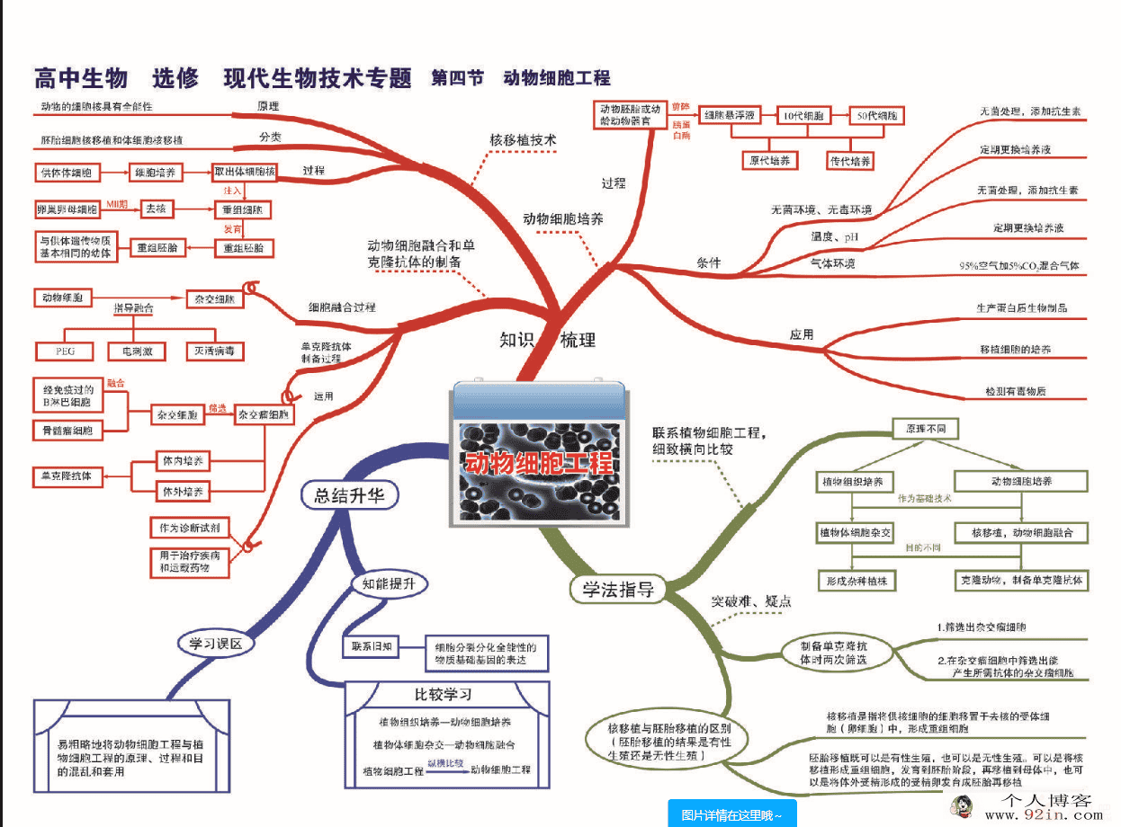 高中9科-知识点归纳-预习复习-考试提分-368张大图