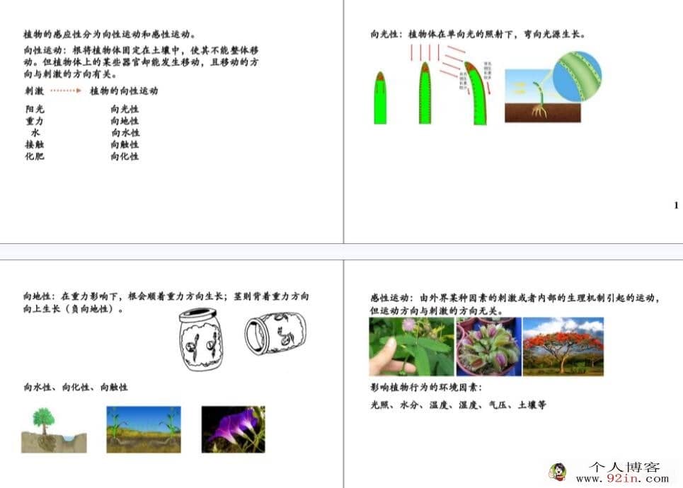 陆巍巍 新初二科学年卡尖子班生物篇（浙教版) 19讲 百度网盘分享