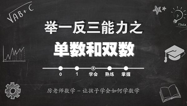 厉老师315堂小学数学思维课完整视频合集(含电子讲义+习题)