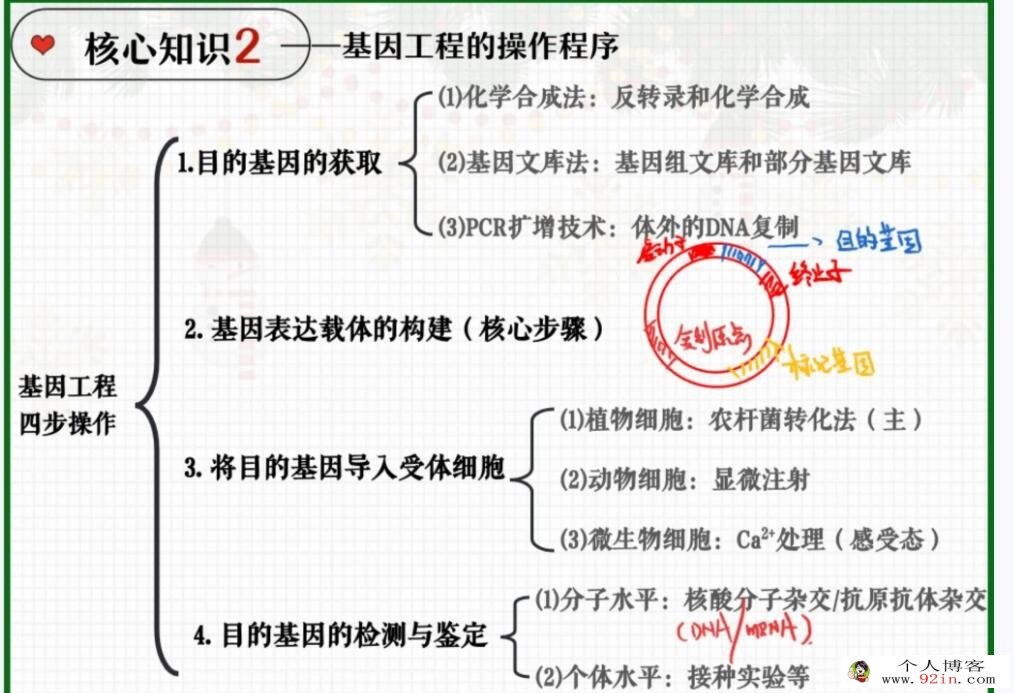 邓康尧2023年高考生物A+二轮复习寒春联报 春季班更新14讲 百度网盘下载