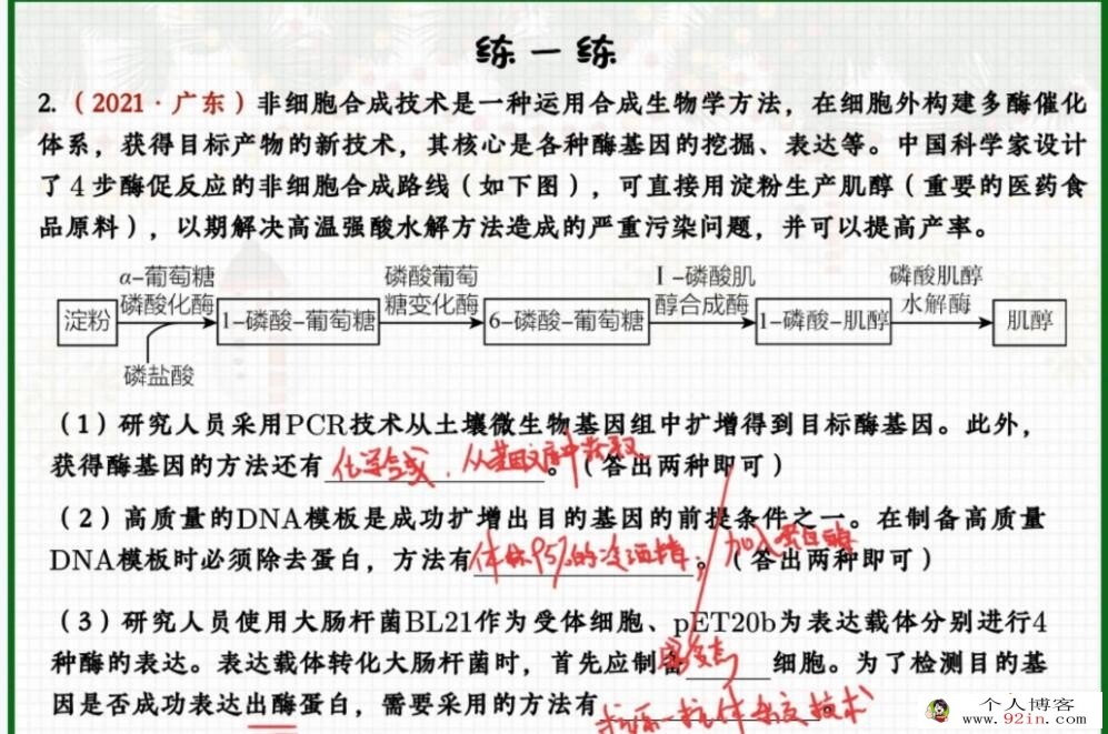 邓康尧2023年高考生物A+二轮复习寒春联报 春季班更新14讲 百度网盘下载