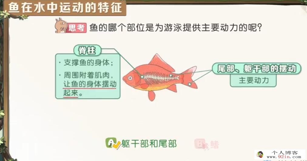 洋葱学院 人教版初中生物7-8年级同步课送思维导图 百度网盘分享