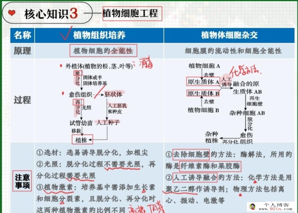 杨雪2023年高考生物A+二轮复习寒春联报 春季班更新14讲 密训班更新1讲 百度网盘下载